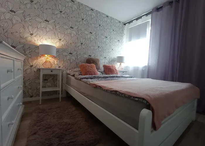 Topaz - 700 M Do Plaży - Brzeźno - Azw Apartament *